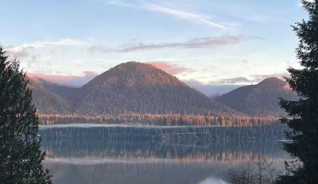 Quinault Cove- Two Cabin Property on Quiet Lake Quinault