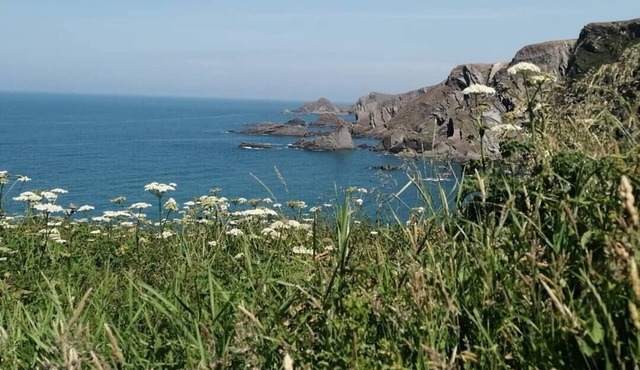 Quincecote mini guest wing. Small and tasteful one bed rural accommodation