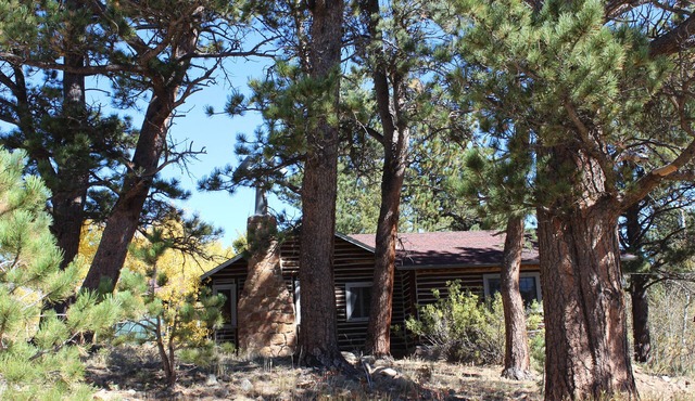 Quinnella's RMNP Adventure Cabin