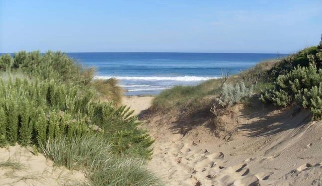 Quintessential Beach Shack with all the mod cons.