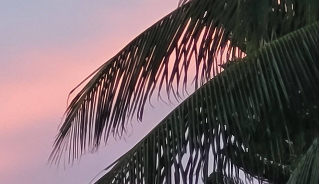 Quintessential Keysie ADORABLE 2-bedroom house w/AC in Key West-1 Month Min Stay