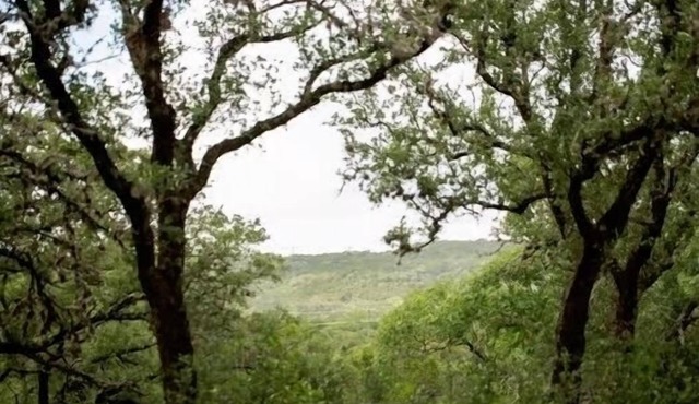 Quirky, Tiny Lodge and San Antonio Hill Country