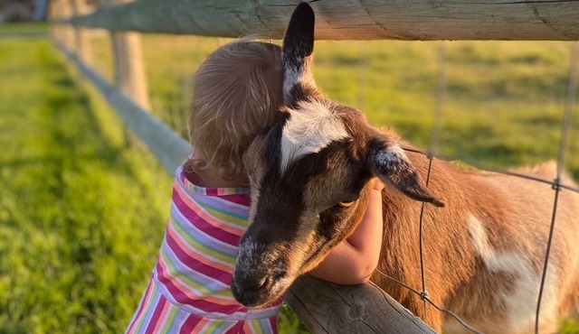 Quite farm house in the country just minutes from town