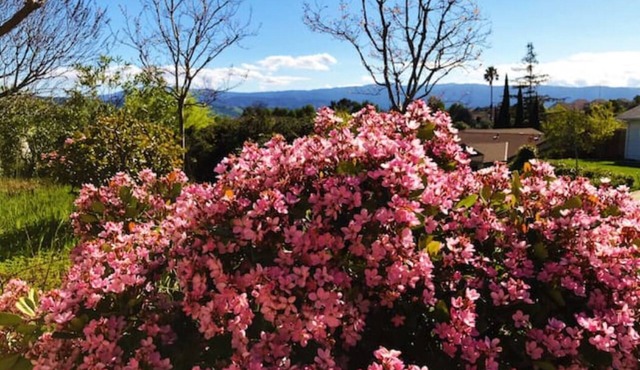 Quite guest-unit on a hilltop, an ideal longterm