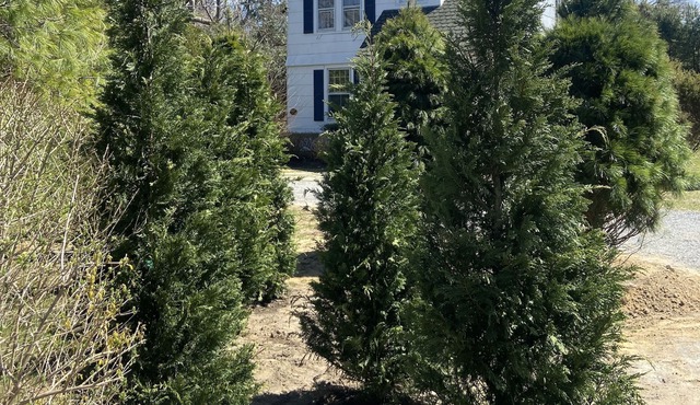 Quogue Village classic beach house