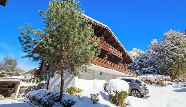 Résidence Améthystes E1 ski in/ski out, Argentière (Chamonix), France