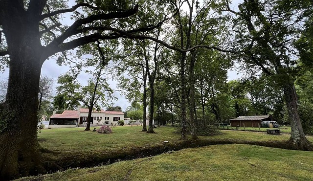 Résidence 105-st Vivien De Medoc - 105 - Superbe maison avec son grand parc verdoyant