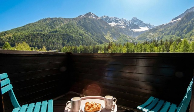 Résidence Grand Roc - Campanules 319, Argentière (Chamonix), France