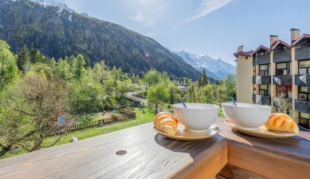 Résidence Grand Roc - Bruyères 106, Argentière (Chamonix), France