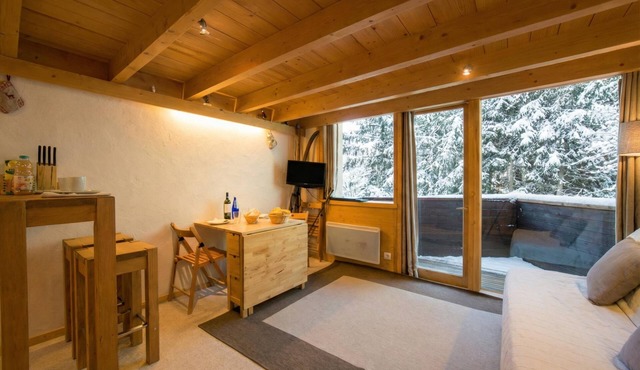 Résidence Grand Roc - Ancolies 104, Argentière (Chamonix), France