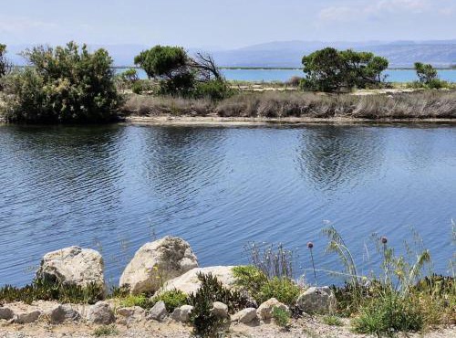 Résidence Hawai 1 - Maisonnette studio mezzanine 4 couchages - PORT LEUCATE MAE-7981