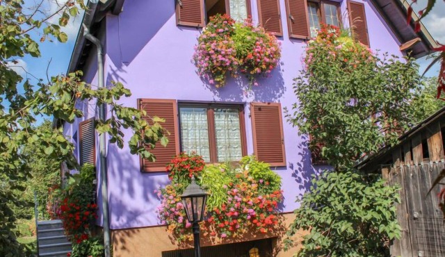 Résidence jaune et rose by Interhome