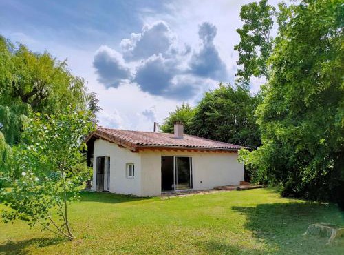 Réveil au chant des Oiseaux