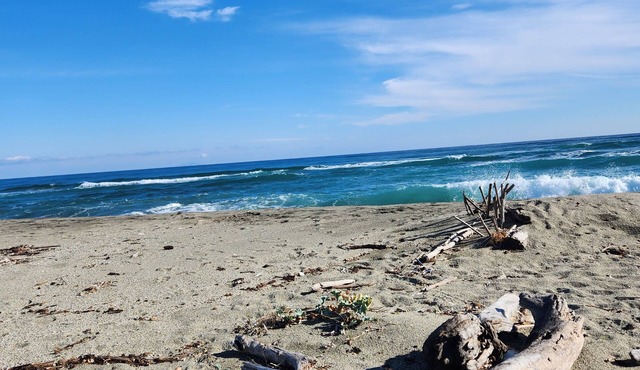 Rêves Bleus en Tout Compris