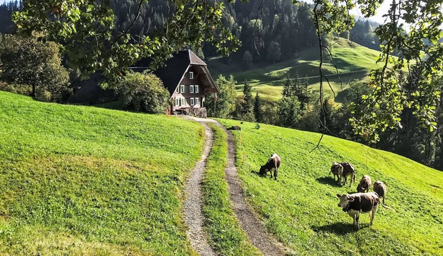 Rüttimätteli by Interhome