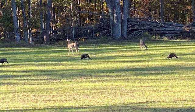 R&R in the Great Outdoors! Unwind with the Sounds & Smells of Spring in the Air!