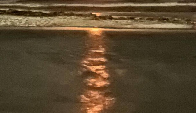 R8 family comfort and home away from home! 3/2