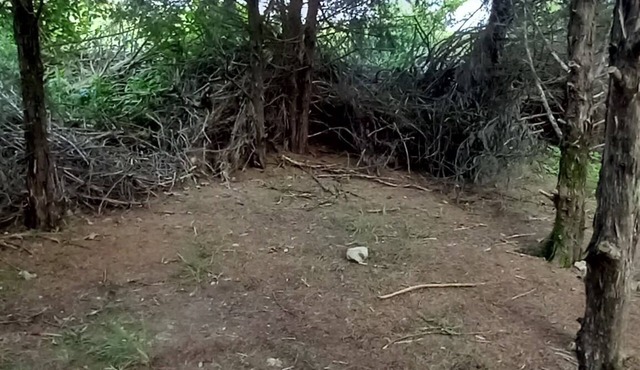 Rabbit's Den @B Berry Farms