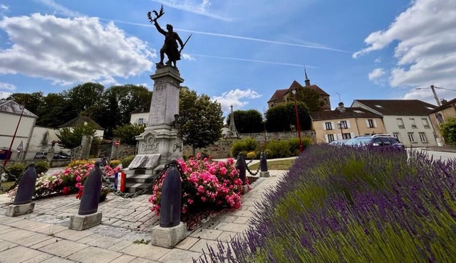 Racines Bussieroises Villa Avec Piscine à la Campagne