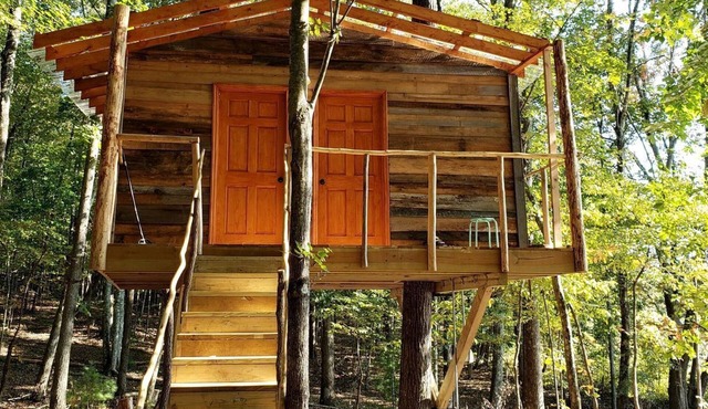 Radiant Forest Vacation Rental Haven Near Piney River, Tennessee