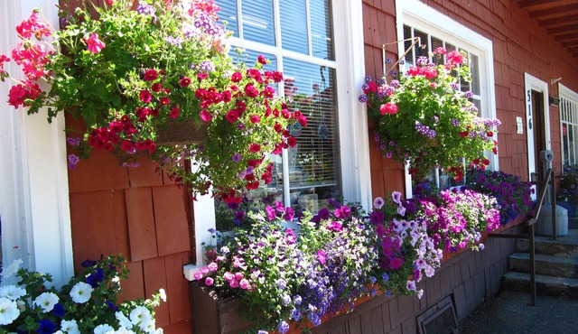 Rain Forest Resort Village