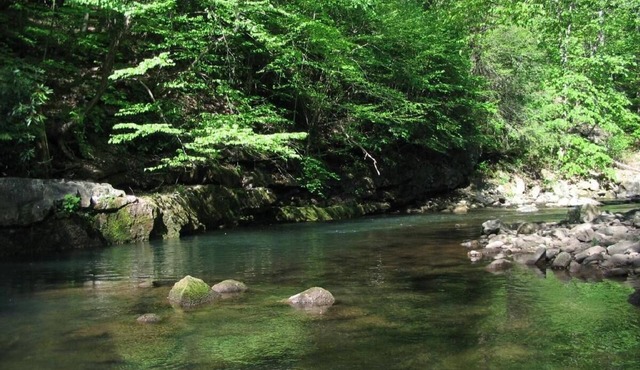 Rainbow Chalet, a River Front Home on Savage River near Deep Creek Lake