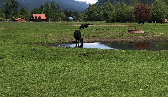 Rainbow House Private Annex: Charming comfort at North Cascades National Park!