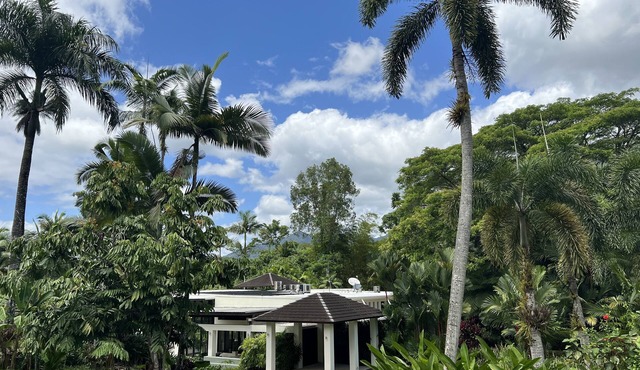 Rainforest Estate luxury Stay