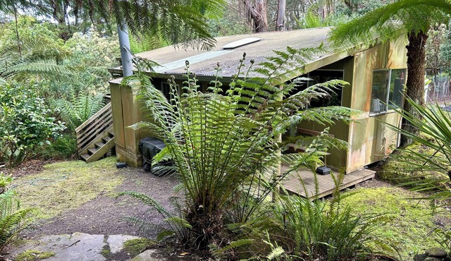 Rainforest retreat 7 minutes from the beach and next to CapeOtway National Park