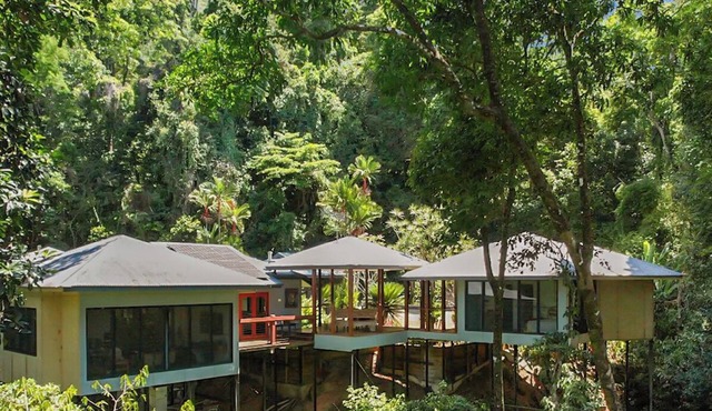 Rainforest Relaxation.