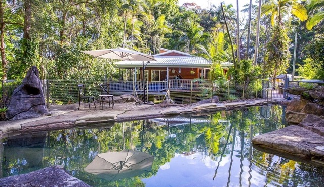 Rainforest Retreat in Kiels Mountain