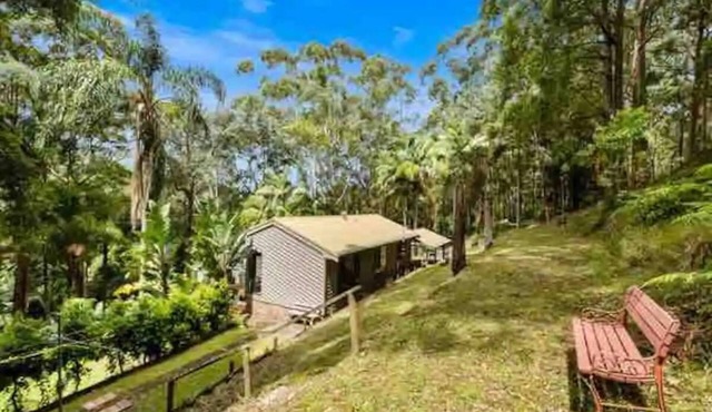 Rainforest Retreat Set on 5 acres of rainforest.