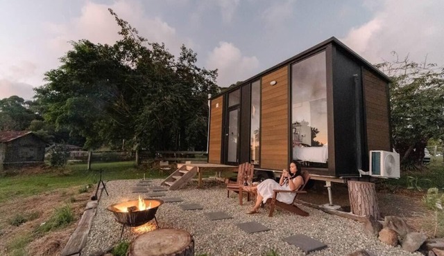 Rainforest Sunsets by Tiny Away