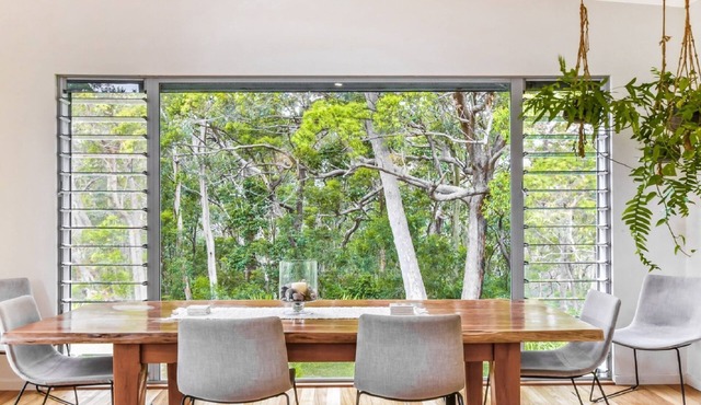 Rainforest Tranquility