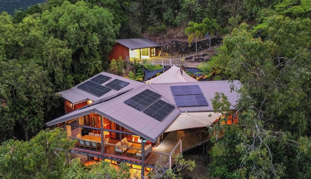 Rainforest Treehouse Sanctuary