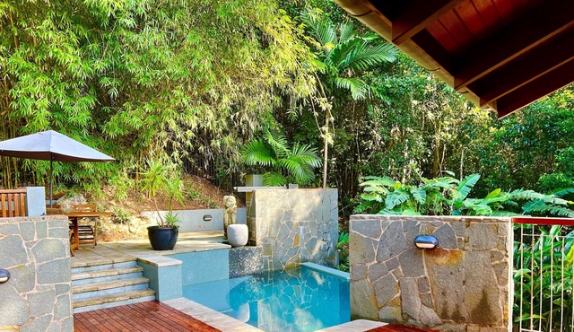 Rainforest Treetops Home + Infinity Edge Pool Riverside 4 Poster Daybed +100Mbs