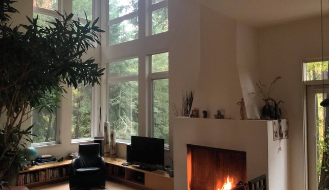 Rainwater Residence, an architectural gem, secluded, spatious and spatial.