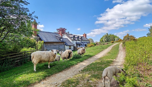 Ramblers Rest - Three Bedroom House, Sleeps 6