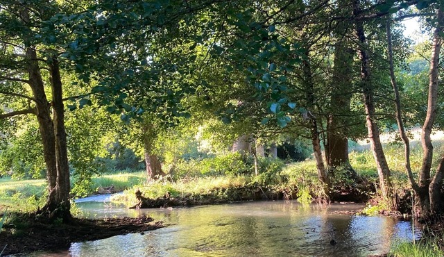 Rambling Water Mill in South West France. Perfect for families and friends,