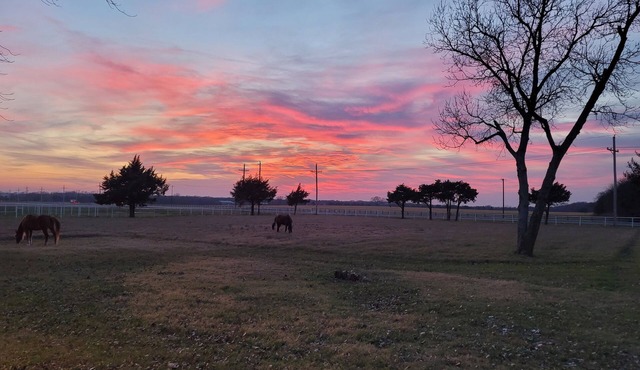 Ranch at Lake Ray Roberts - 10 Acres ranch, walk to lake 4 Bed 2 Bath