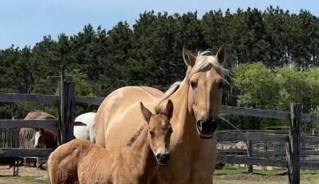 Ranch get away