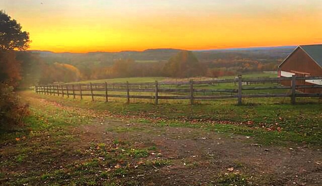Ranch-Hand Cabin Near Letchworth State Park