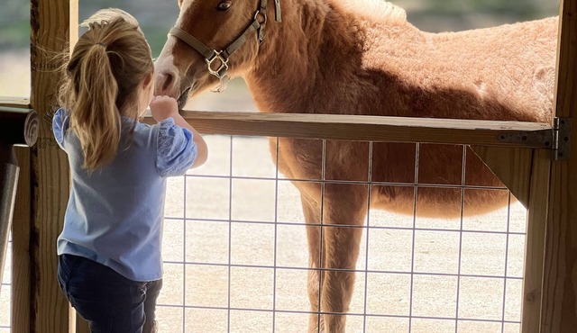 Ranch Lodge - A Texas Ranch Getaway