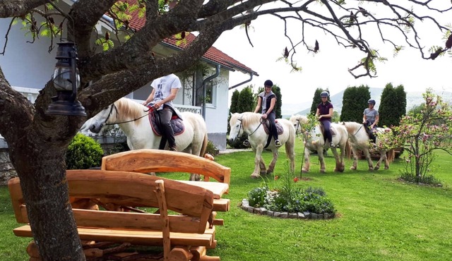 Ranch Terra