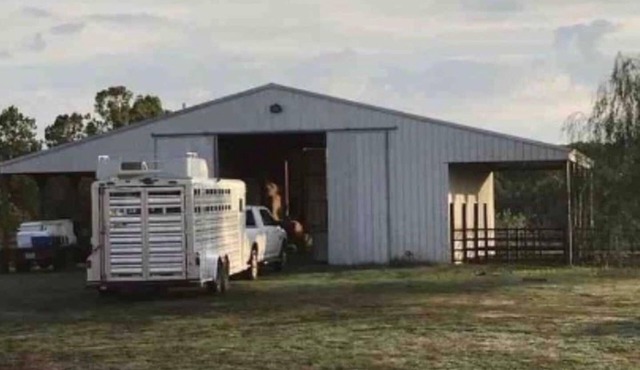 Ranch time w Bronco & Betsey!