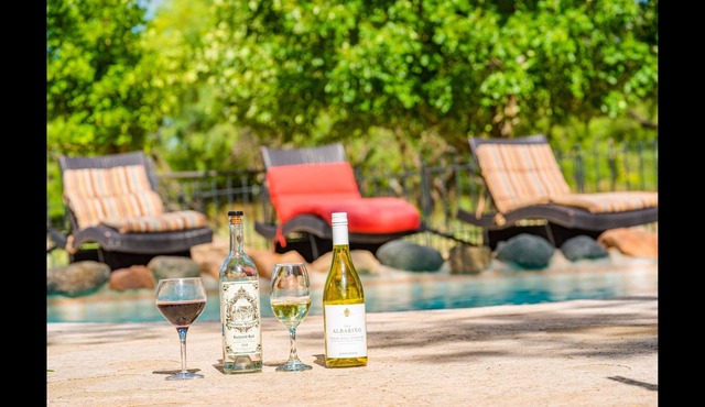 Ranch Villa & Vineyard in the Hill Country