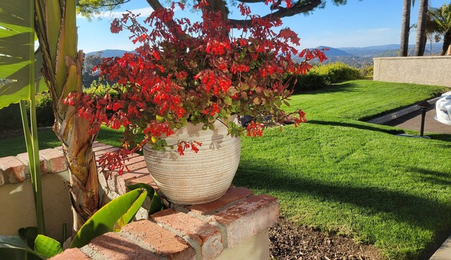 Rancho Bernardo Peaceful Comfort with Canyon Views