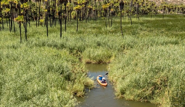 Rancho Ecológico Sol de Mayo Rotamundos