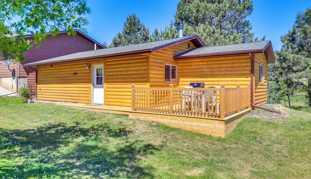 Rapid City Cabin w/Hiking & ATV Trail Access