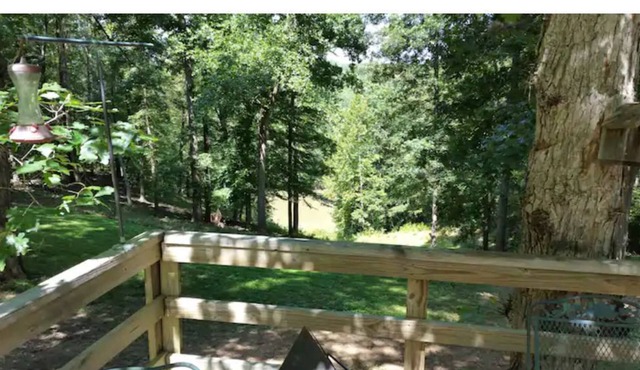 Rapidan Hill - River front guest house
